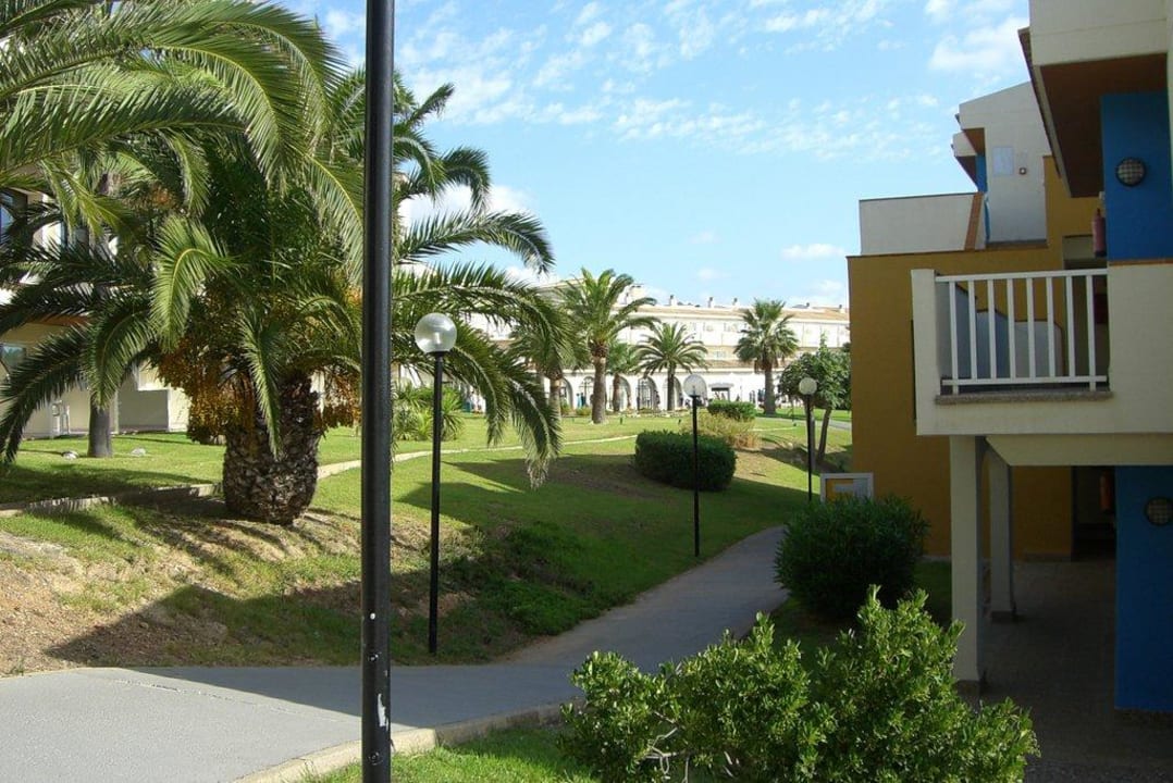 Gartenanlage blau punta reina