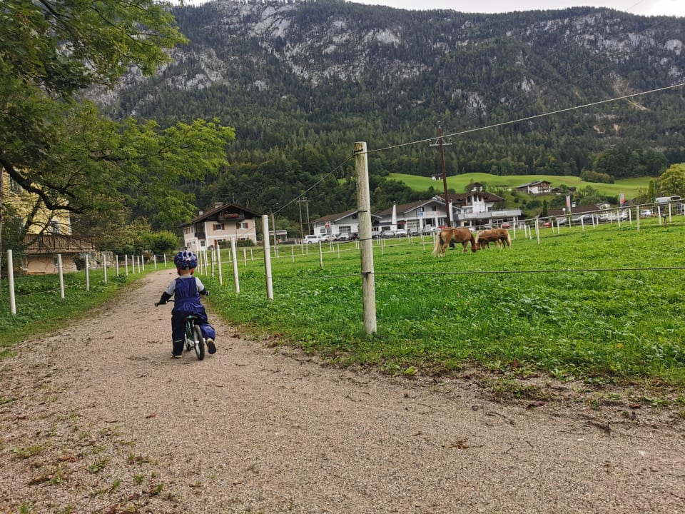 Gartenanlage POST Family Resort