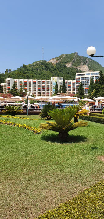 Gartenanlage Iberostar Waves Bellevue