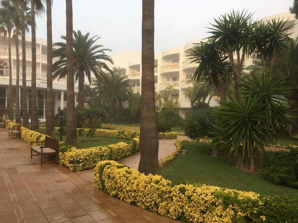 Gartenanlage Iberostar Selection Albufera Park