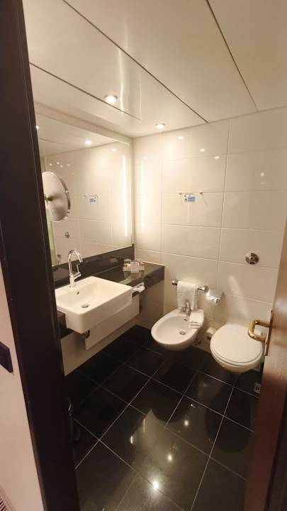 Zimmer Maritim Hotel Königswinter