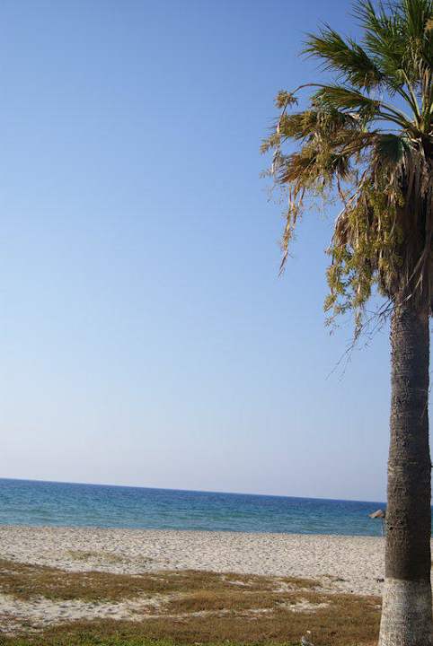Plaża Palmyra Club Nabeul