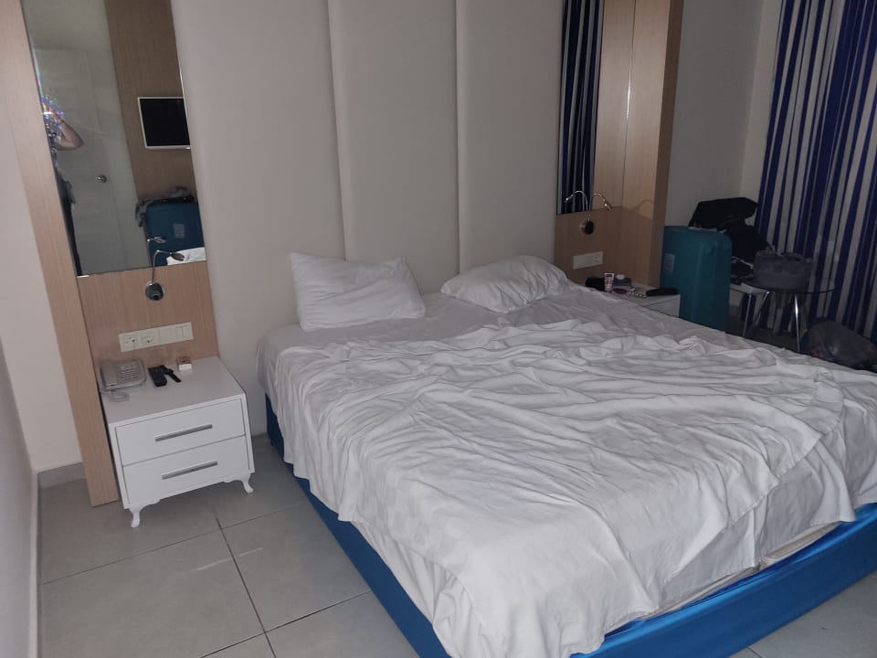 Zimmer AQI Pegasos World