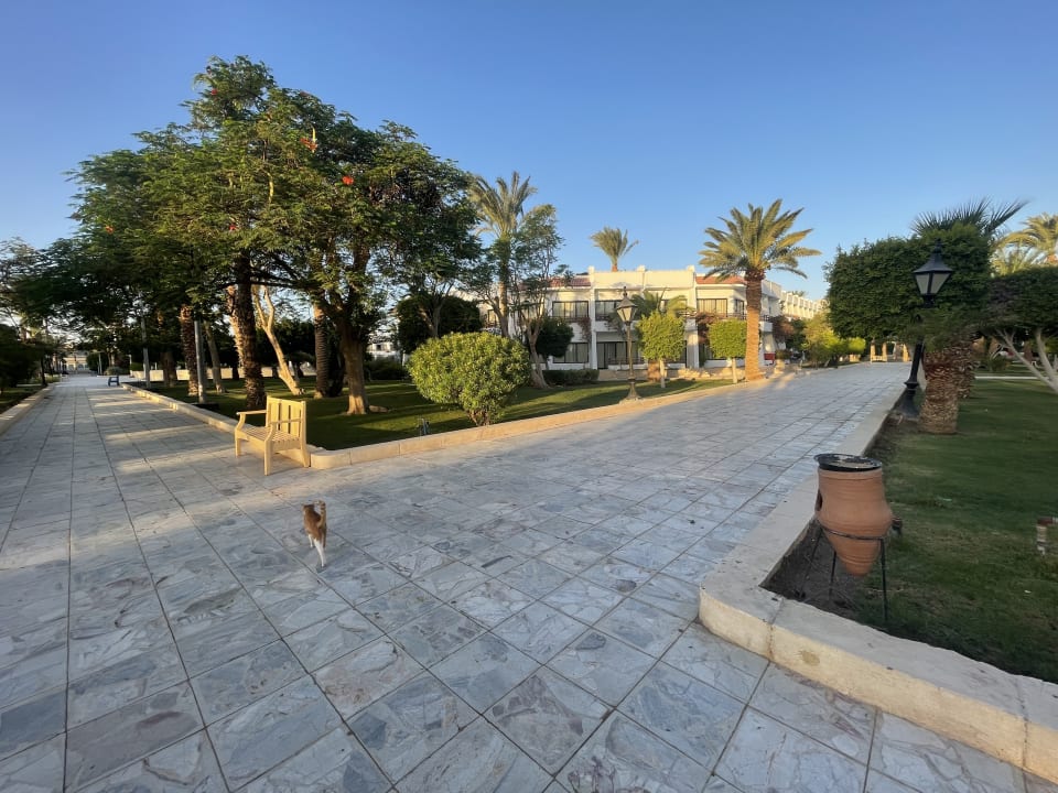 Gartenanlage The Grand Palace - Adults only