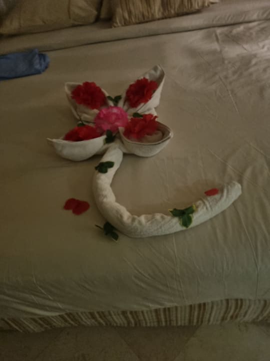 Zimmer Makadi Spa - Adults only