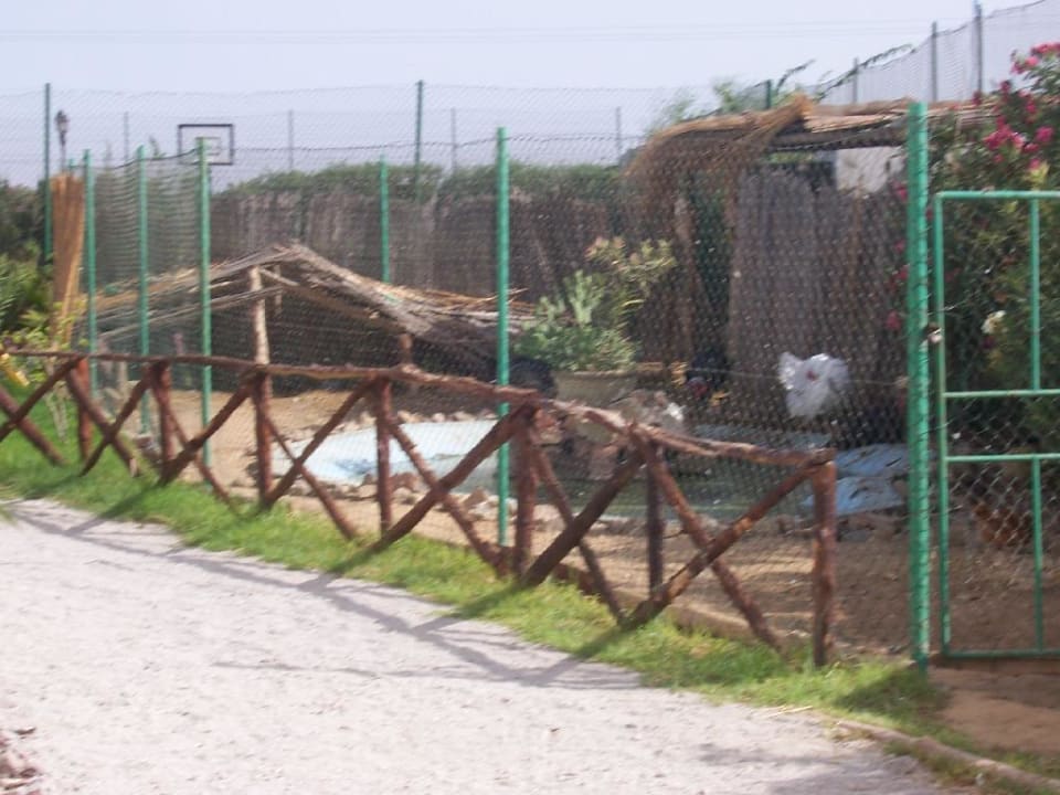 Hotelzugabe Palmyra Golden Beach