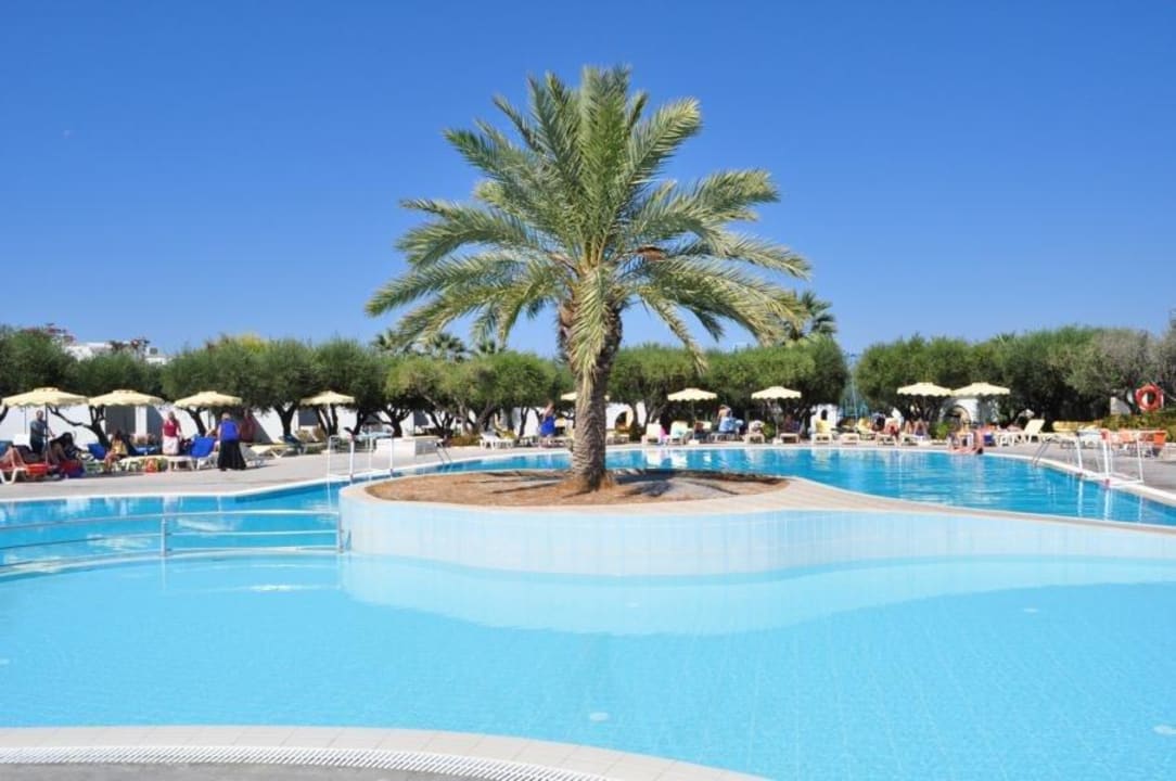 Pool für die kleinen TUI KIDS CLUB Alex Beach