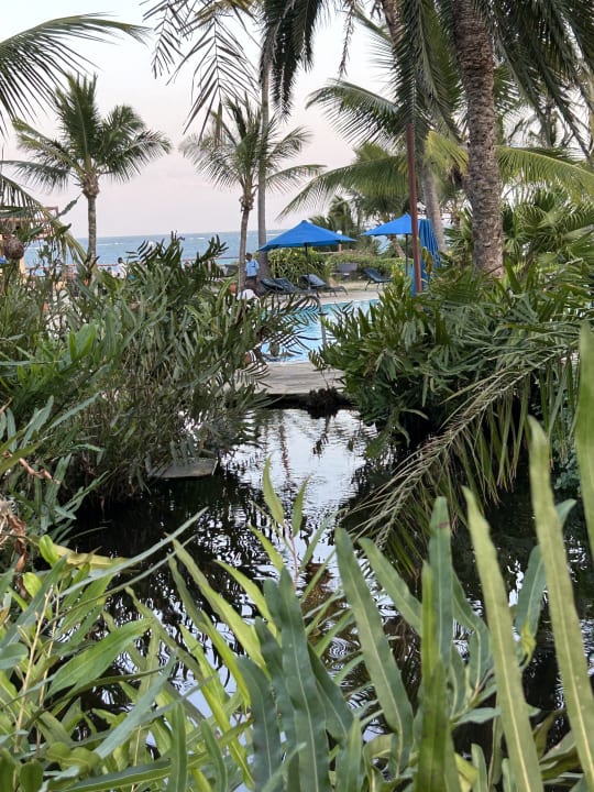 Gartenanlage Bahari Beach Hotel