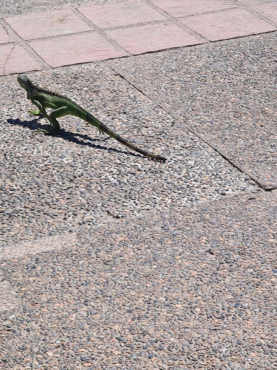 Sonstiges Hotel Melia Puerto Vallarta