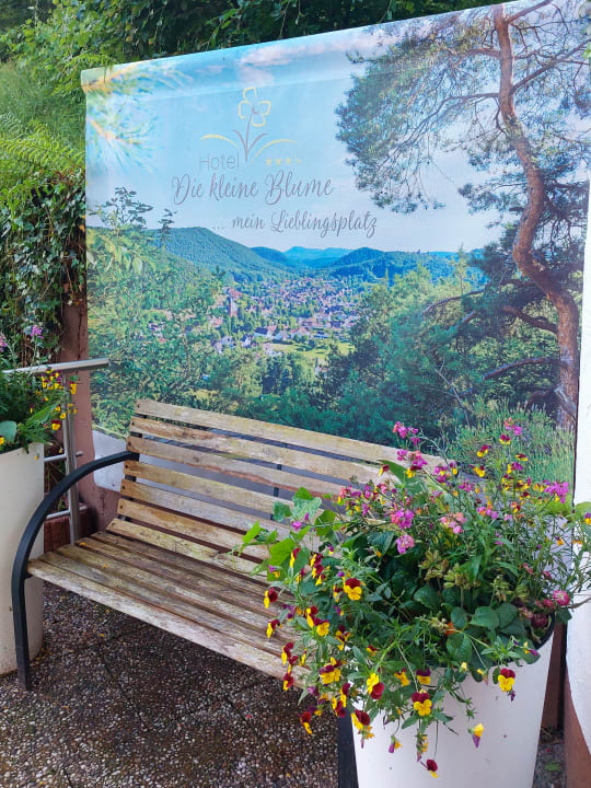 Gartenanlage Hotel Die kleine Blume