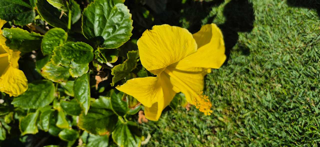 Sonstiges Three Corners Sea Beach Resort