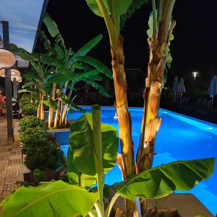 Pool TUI BLUE Xanthe