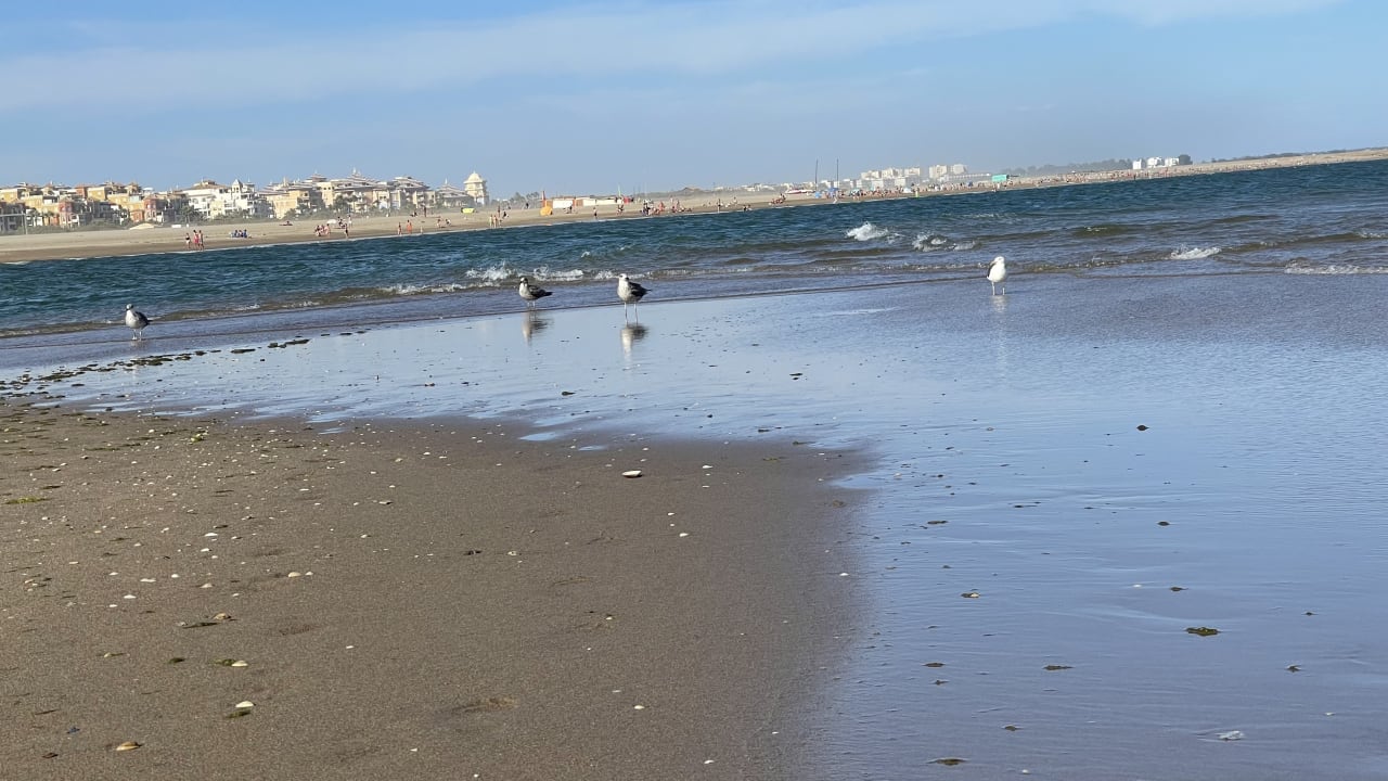 Strand Playacanela Hotel