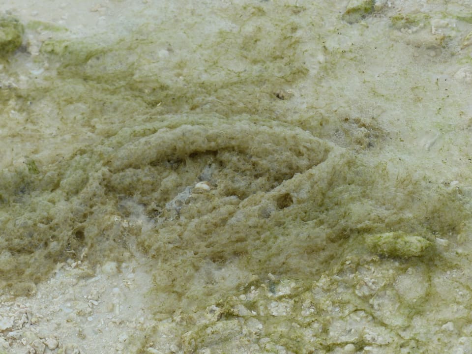 Strand Meeru Maldives Resort Island