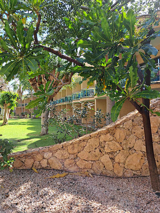 Gartenanlage MUR Hotel Faro Jandia & Spa Fuerteventura
