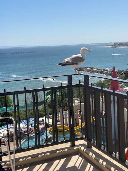 Sonstiges Sol Nessebar Bay & Mare Resort