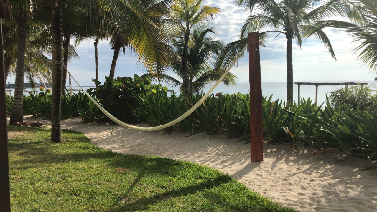 Gartenanlage Akumal Bay Beach & Wellness Resort