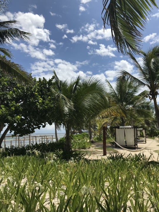 Gartenanlage Akumal Bay Beach & Wellness Resort