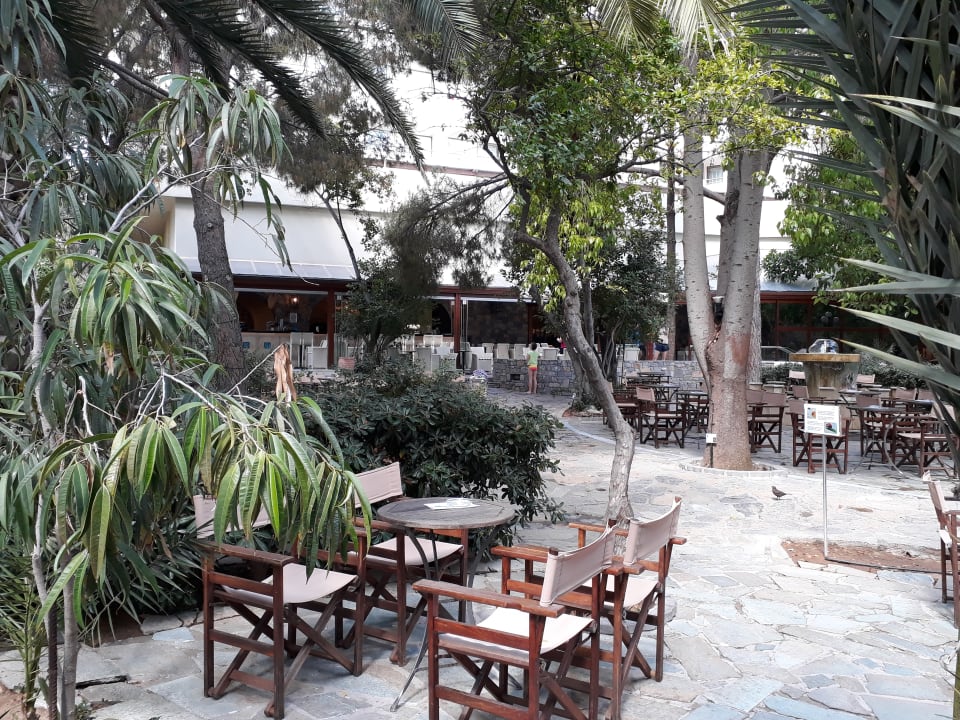 Gartenanlage Apollonia Beach Resort & Spa