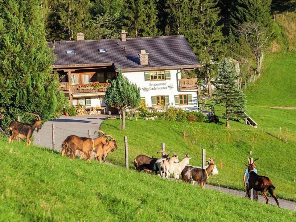 Hausansicht Ferienwohnung Vorderloiplsau
