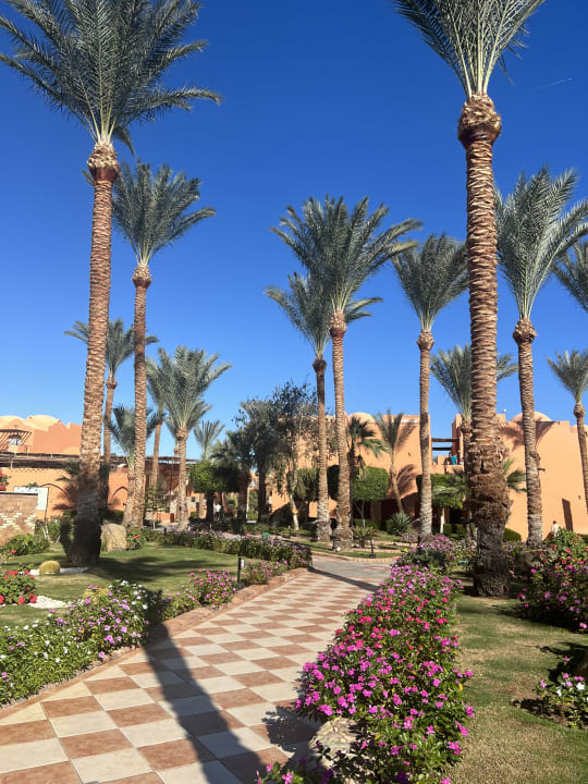 Gartenanlage Jaz Makadi Oasis Resort
