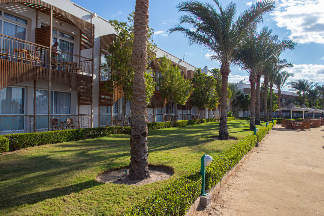 Außenansicht Desert Rose