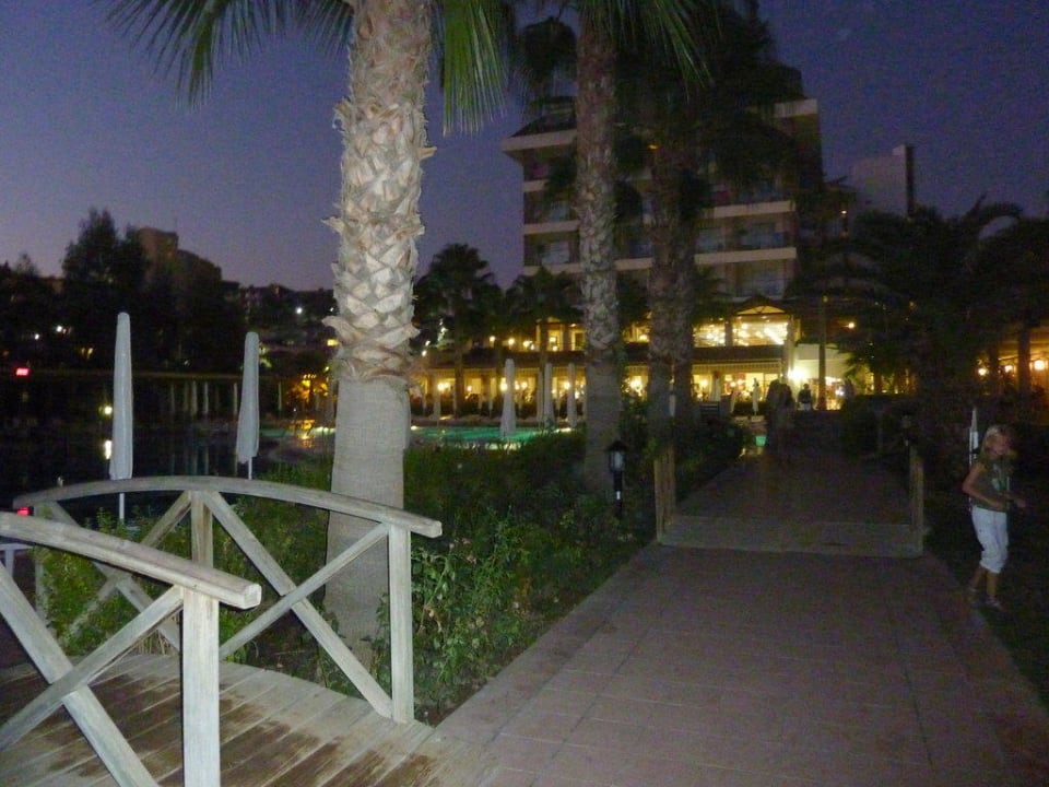 Bei Nacht Trendy Palm Beach (Adults Only, 16+)
