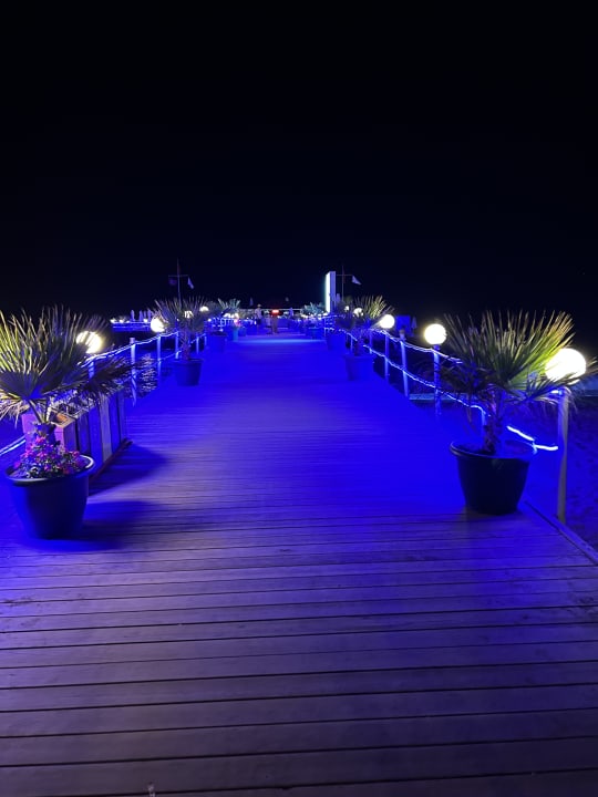 Gartenanlage Hotel Delphin Imperial