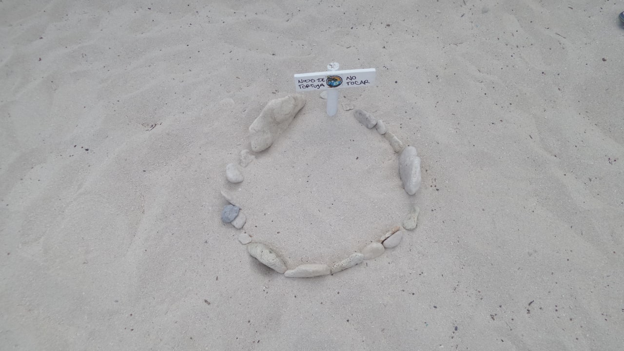 Schildkrötennest Akumal Bay Beach & Wellness Resort