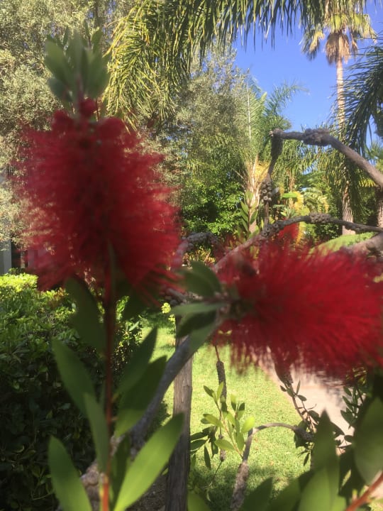 Außenansicht Hotel Paradiso Terme Resort & SPA