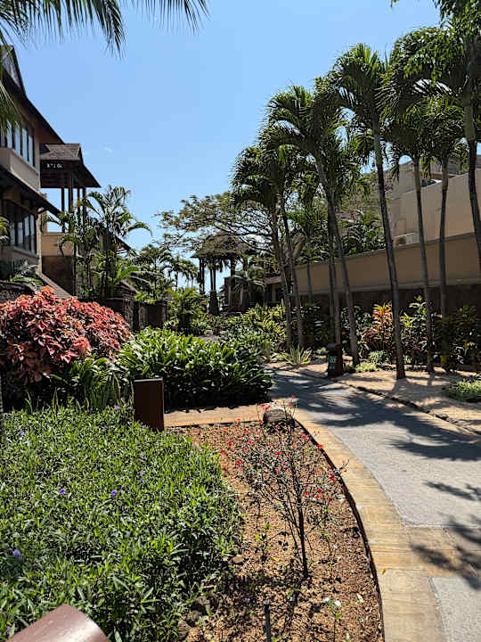 Ausblick The Westin Turtle Bay Resort & Spa
