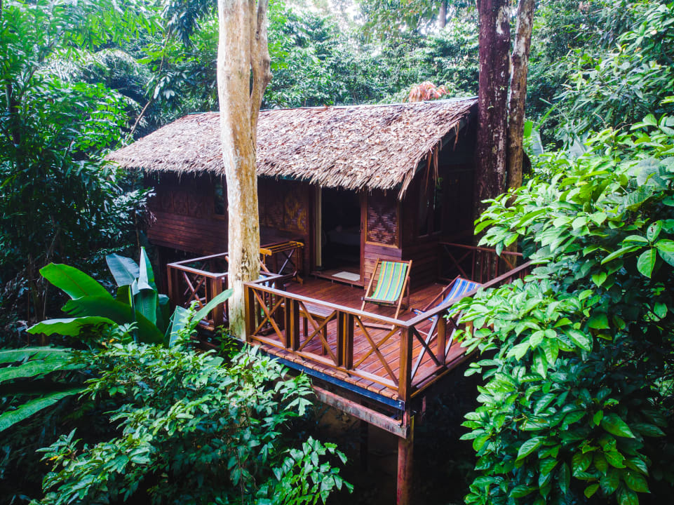 Zimmer Our Jungle House
