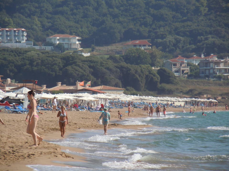 101 ZIMMER - wer kann das glauben!? Aldemar Olympian Village