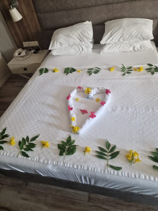 Zimmer Monachus Family Resort Sorgun