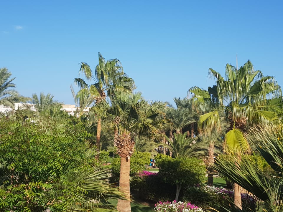 Ausblick Fort Arabesque Resort, Spa & Villas