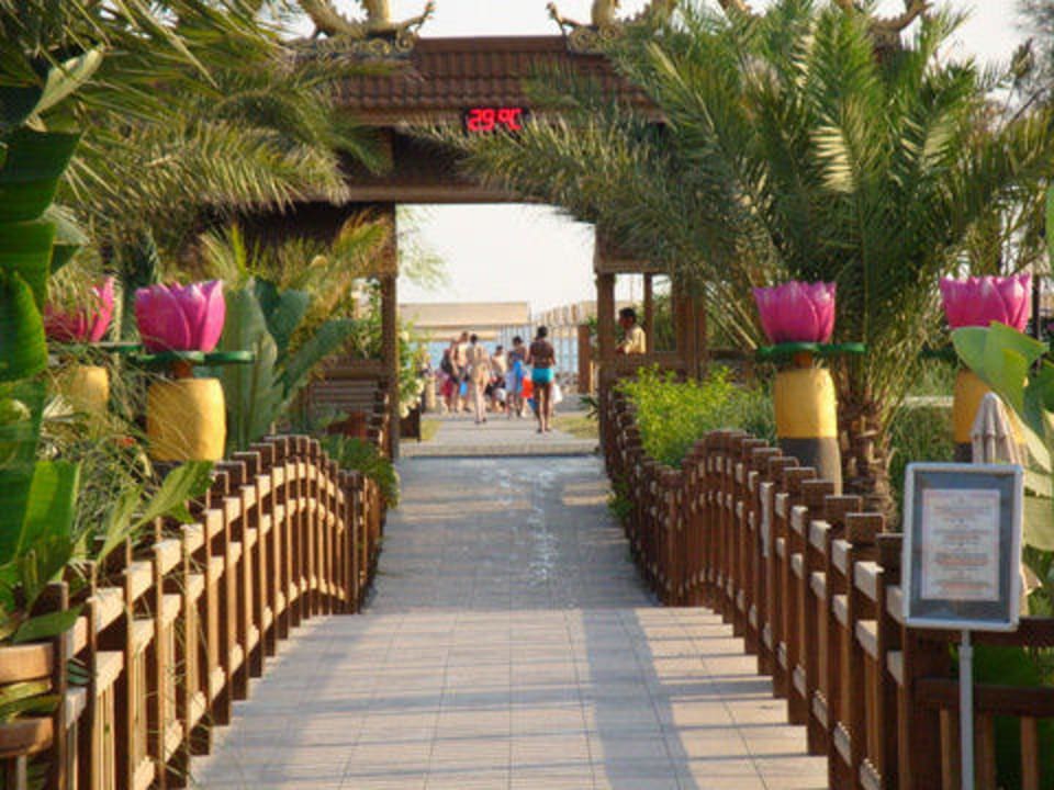 Gang zum Meer Hotel Royal Dragon