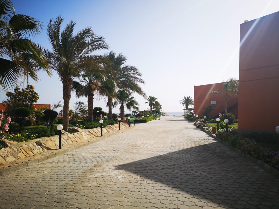 Außenansicht Three Corners Happy Life Beach Resort Marsa Alam • Holidaycheck Marsa Alamel 