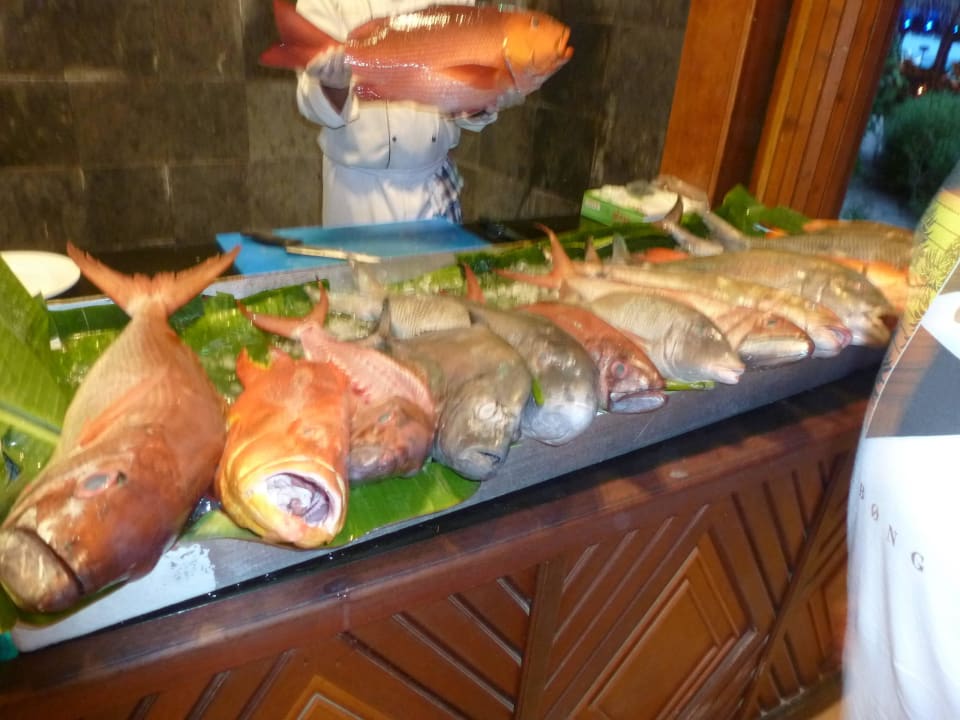 Verleihnix frische Fische Kuredu Island Resort & Spa