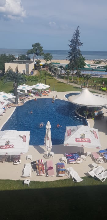 Pool Flamingo Beach Hotel