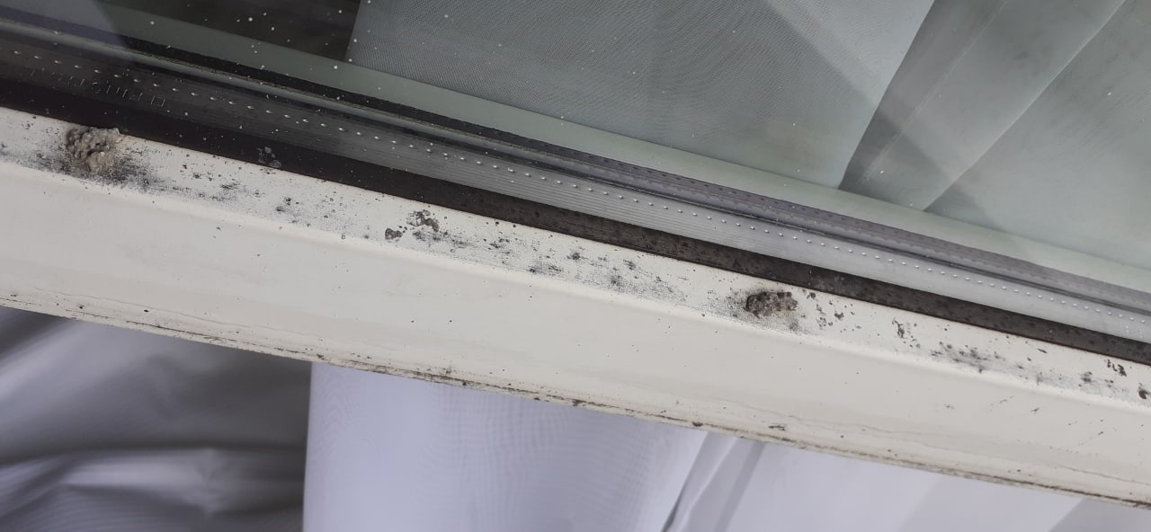 Zimmer AHORN Waldhotel Altenberg