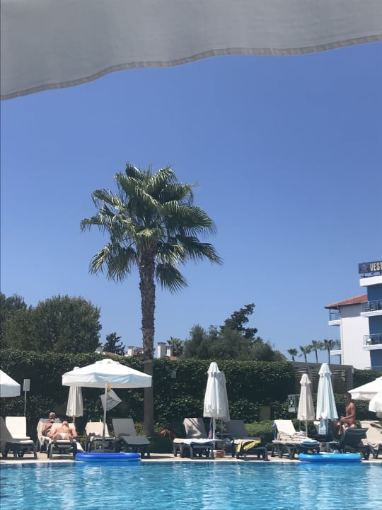 Pool TUI BLUE Barut Andız - All Inclusive - Adults Only