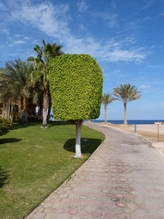 Hübsche Gartendekoration im Coraya Hotel Steigenberger Coraya Beach - Adults only