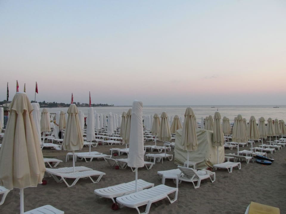 Liegen am Abend Trendy Side Beach Hotel - Adults only