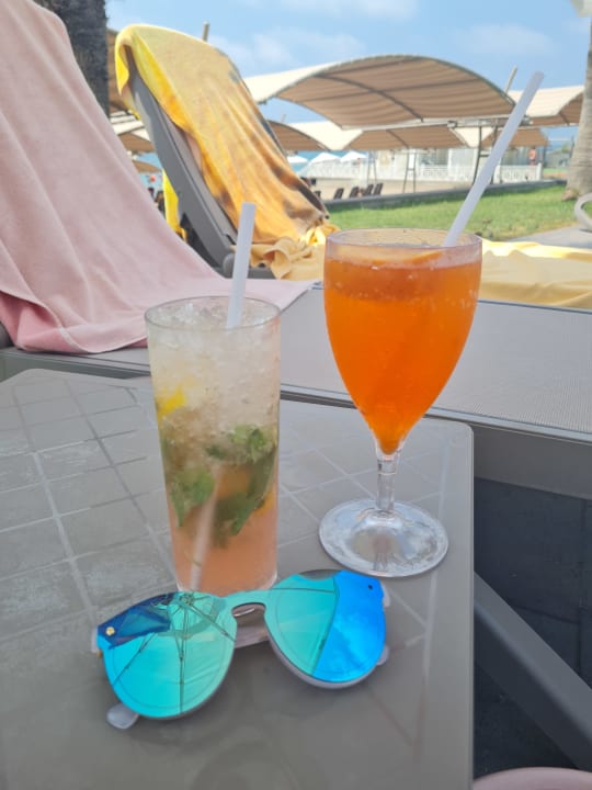 Gastro Papillon Belvil