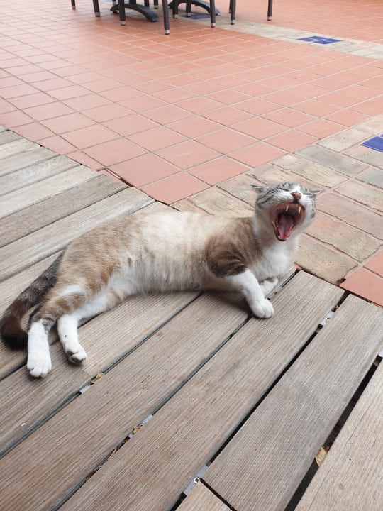 Sonstiges ROBINSON QUINTA DA RIA