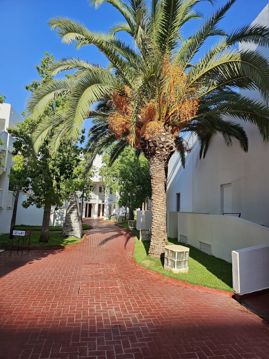 Außenansicht Monachus Family Resort Sorgun