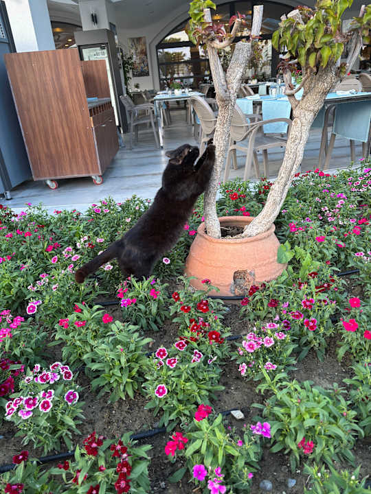 Außenansicht VONRESORT Golden Coast