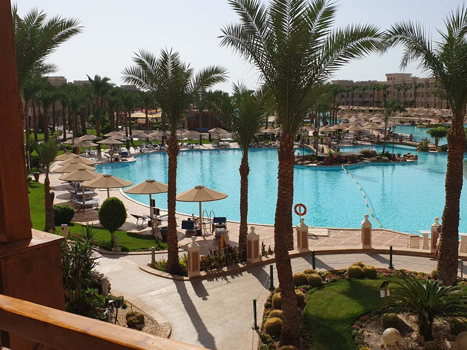 Pool Pickalbatros Palace Resort