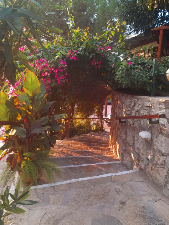 Gartenanlage Montana Pine Resort