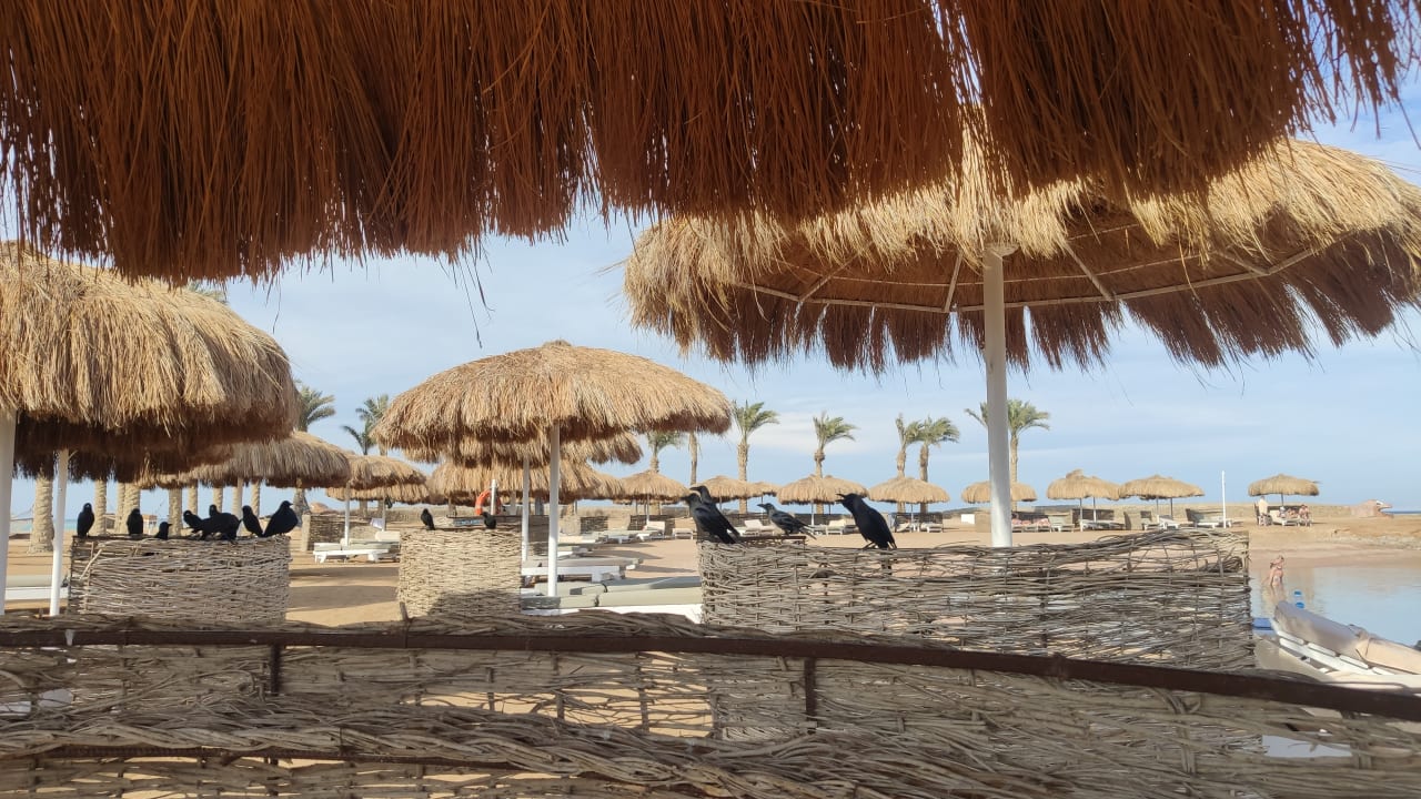 Strand Meraki Resort (Adults Only)